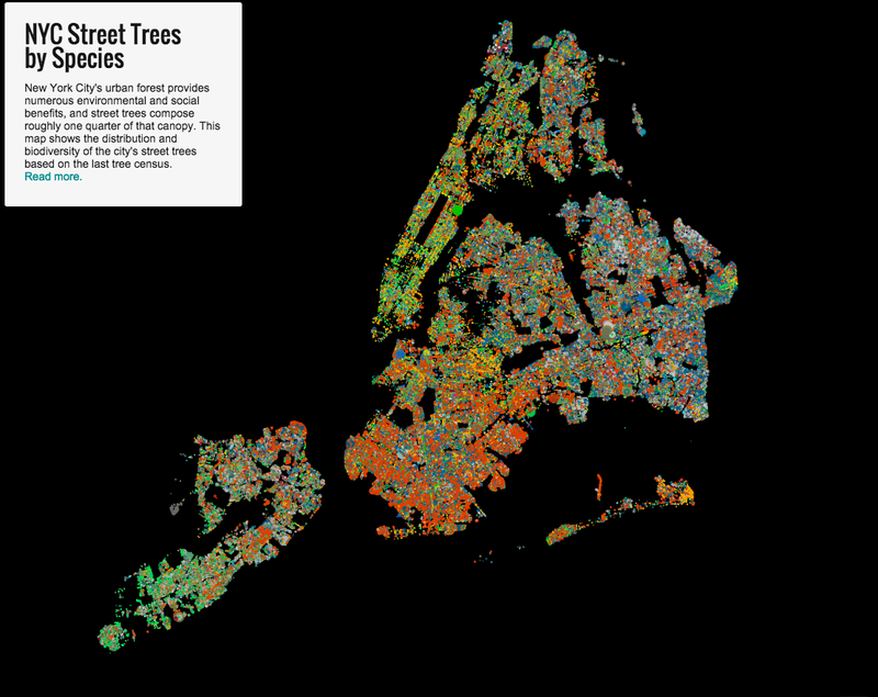 Illustration for article titled Every Tree in New York City, Mapped By Species